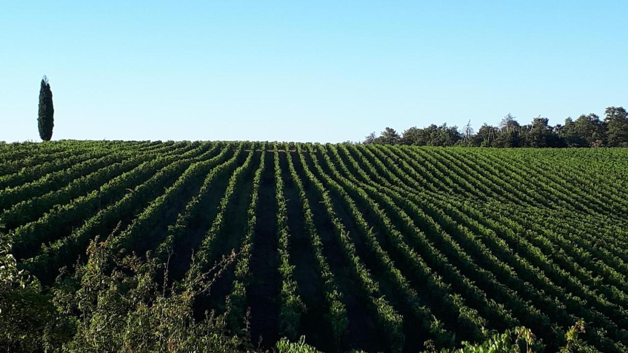 Podere Pievina