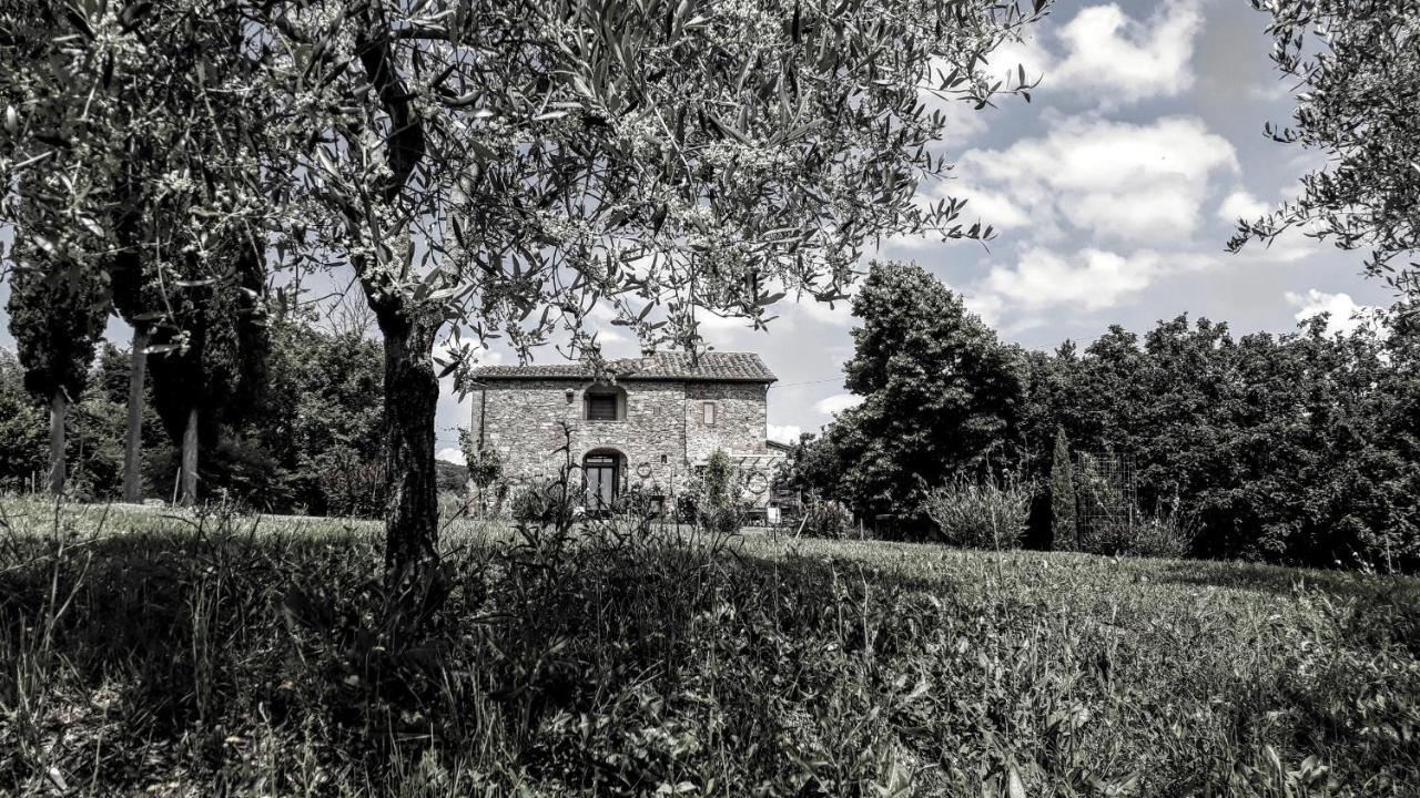 Country house Podere Pievina Sinalunga