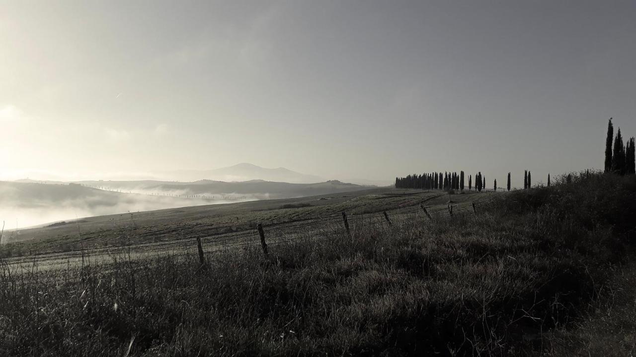 Podere Pievina * Sinalunga