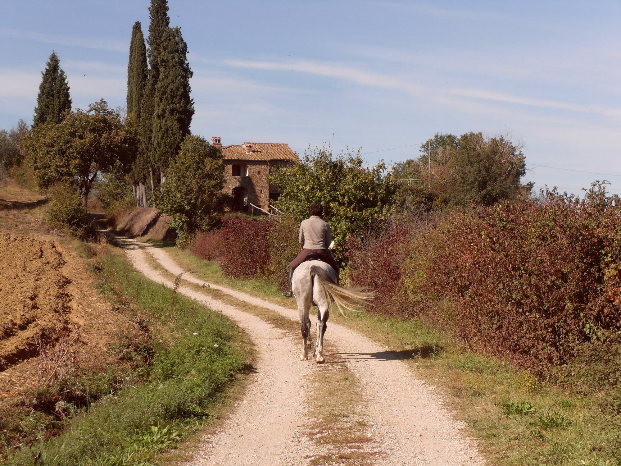 Podere Pievina Country house *