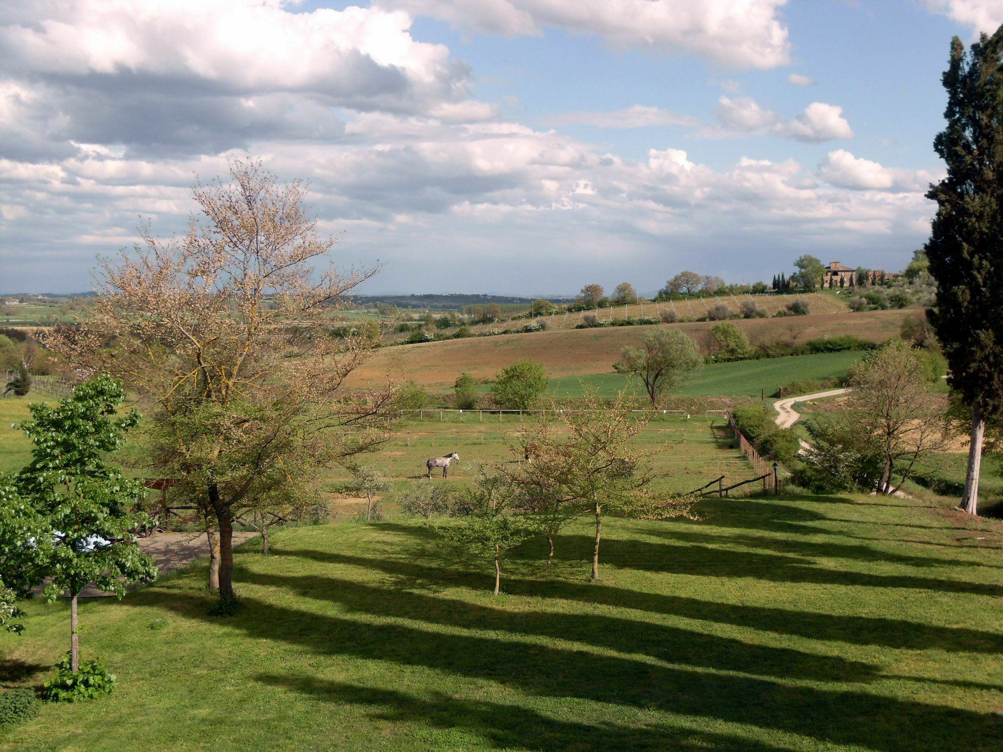 Podere Pievina Sinalunga