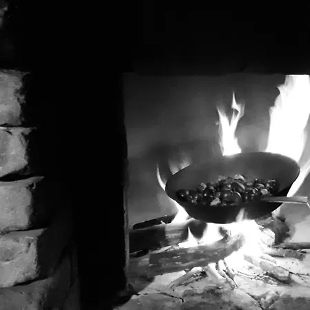 Podere Pievina Delle Corti - Dimora Di Campagna Sinalunga Buitenkant foto