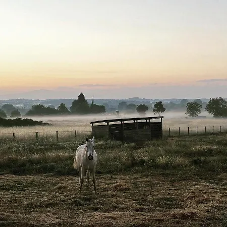 Podere Pievina Delle Corti - Dimora Di Campagna Sinalunga Buitenkant foto