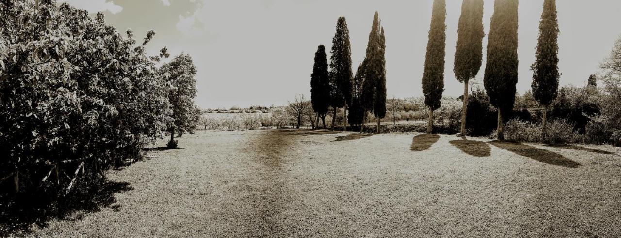 Landhuis Podere Pievina Delle Corti - Dimora Di Campagna Sinalunga