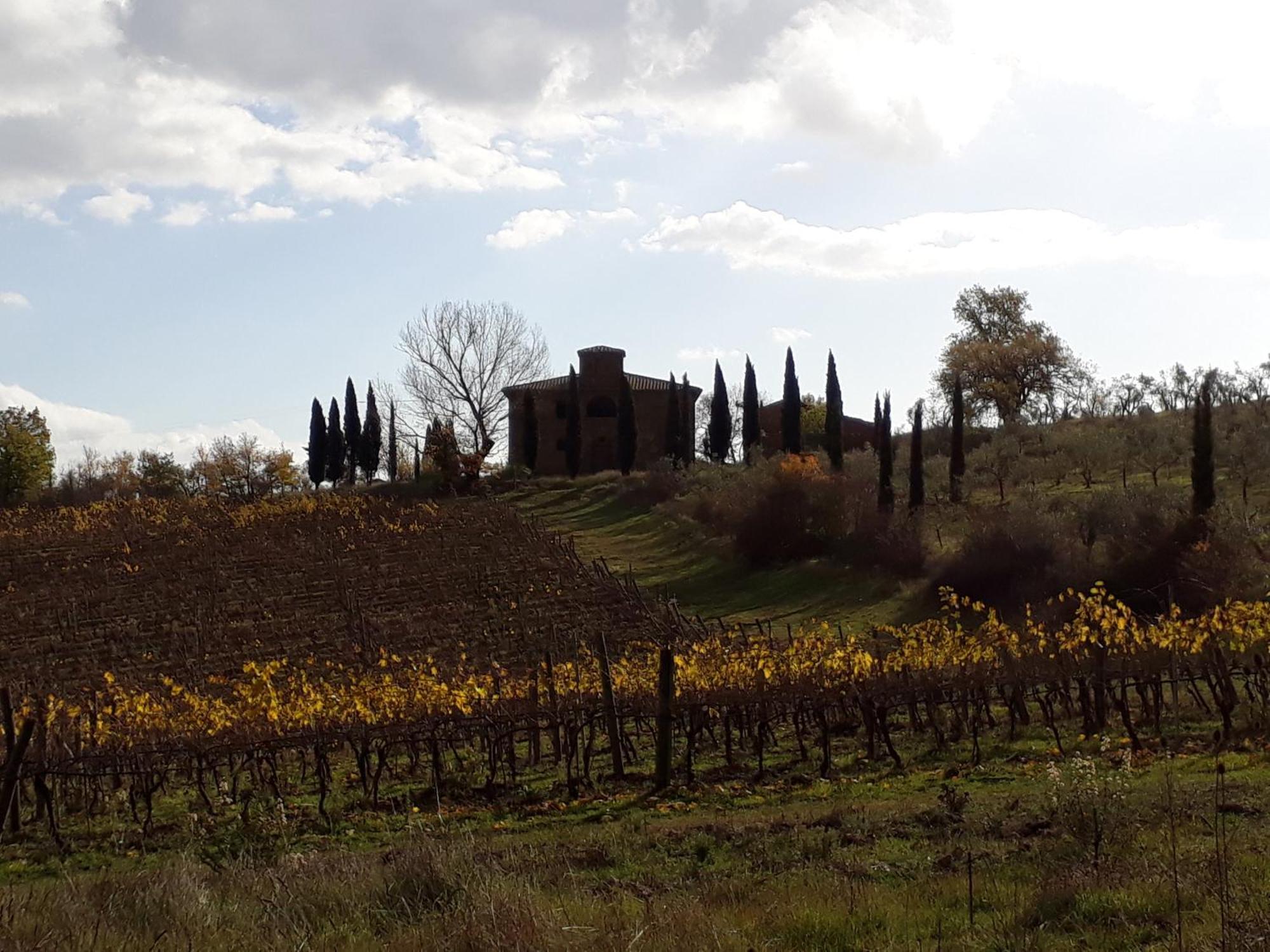 Landhuis Podere Pievina Delle Corti - Dimora Di Campagna Sinalunga