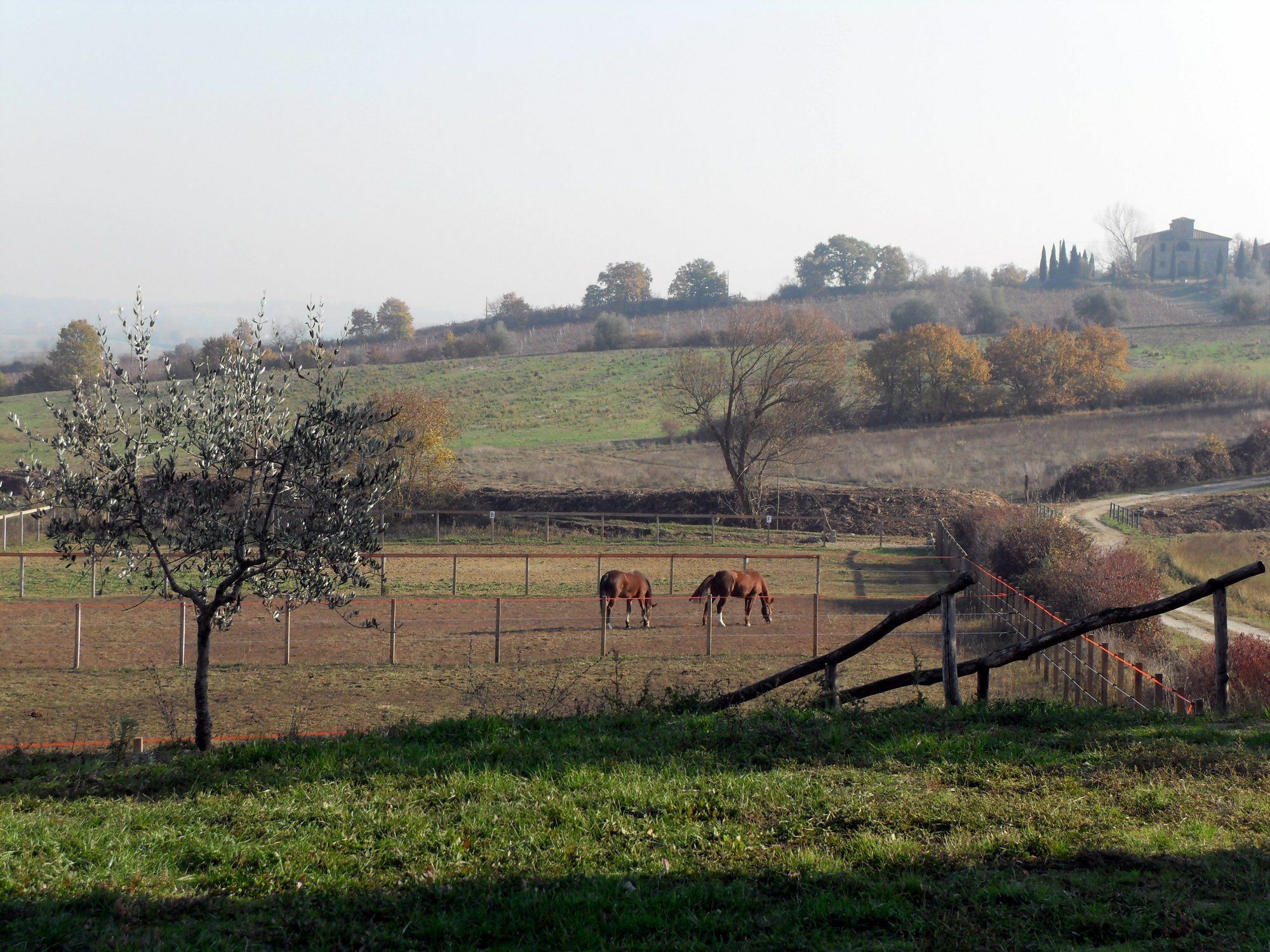Podere Pievina Delle Corti - Dimora Di Campagna *