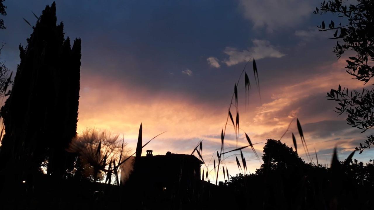 Podere Pievina Delle Corti - Dimora Di Campagna