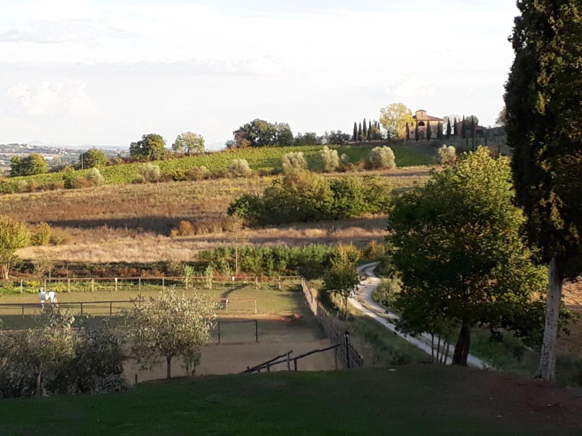 Podere Pievina Delle Corti - Dimora Di Campagna *