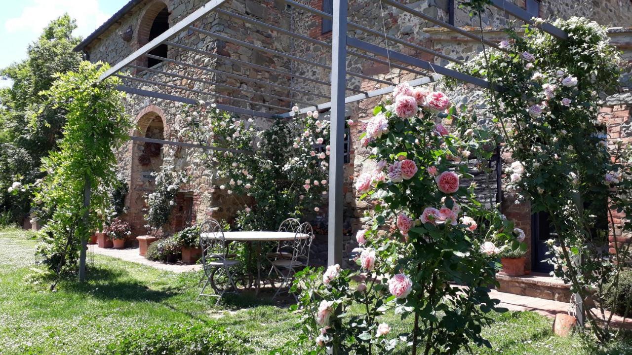 Podere Pievina Sinalunga